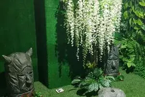 Тайный мир драконов