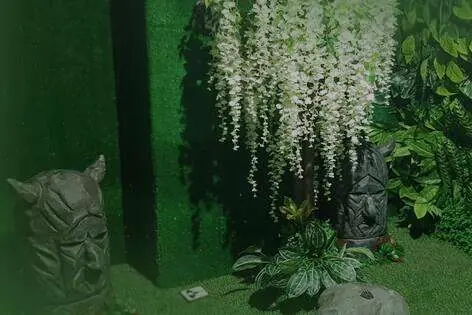 Квест «Тайный мир драконов» от Дети в джунглях